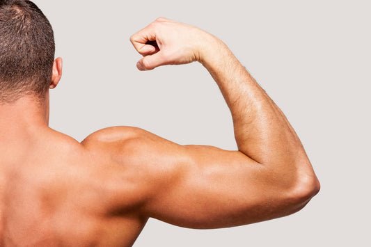 Conseils pour débuter en musculation